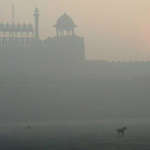 बाजार के फेफड़े तो धुंए से ही हरे होते हैं