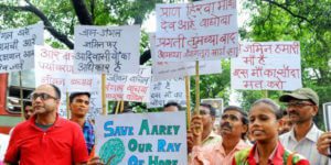 आरे जंगल