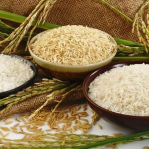 Fortified Rice: पोषण सुधारने वाला ये चावल कैसे बनता है?