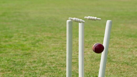 Cricket Stump Facts